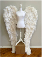 Wings