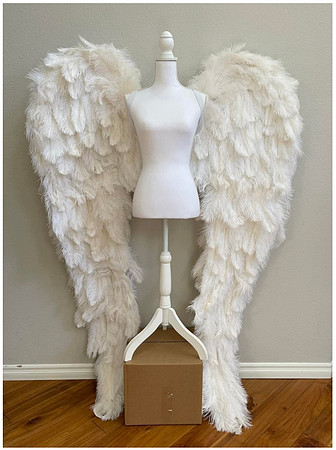 Wings